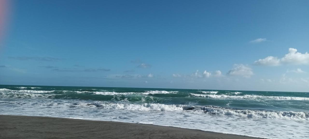 Opotiki - Waiotahe Drifts Beach Pod Dış mekan fotoğraf