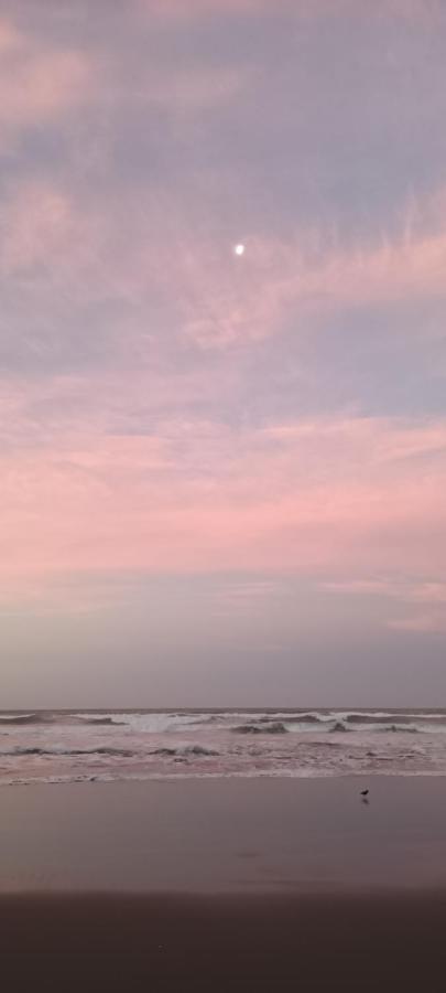 Opotiki - Waiotahe Drifts Beach Pod Dış mekan fotoğraf